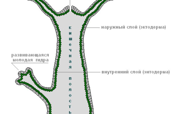 Кракен торговая площадка даркнет